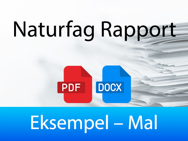 MAL EKSEMPEL NATURFAG RAPPORT