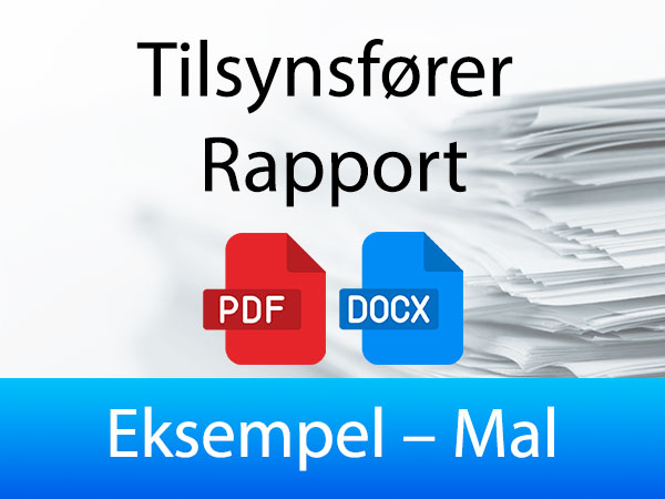 eksempel til Tilsynsfører Rapport